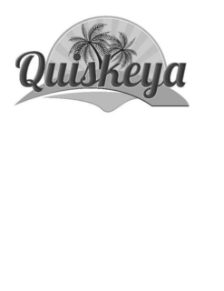 QUISKEYA logo