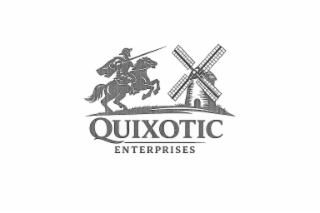 QUIXOTIC ENTERPRISES logo