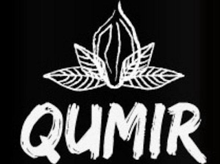 QUMIR logo