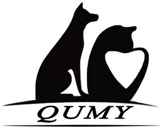 QUMY logo