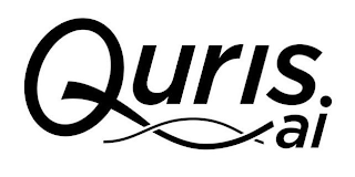 QURIS AI logo