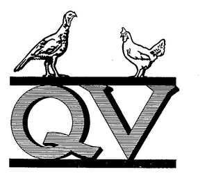 QV logo