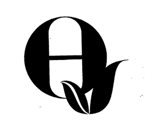 QV logo
