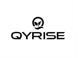 QYRISE logo