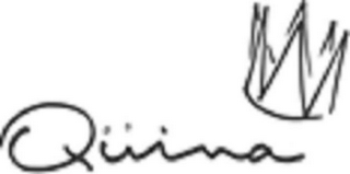 QÜINA logo
