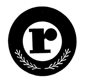 R logo