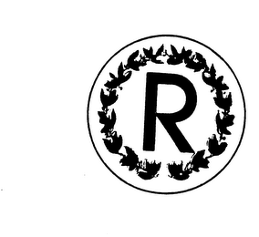 R logo