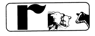 R logo