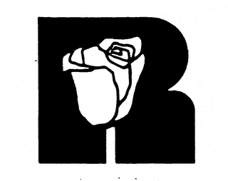 R logo