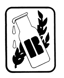 R logo