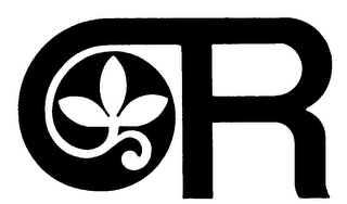 R logo