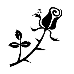 R logo