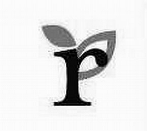 R logo