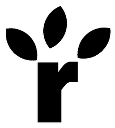 R logo