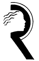 R logo