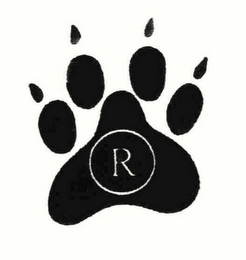 R logo