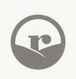 R logo