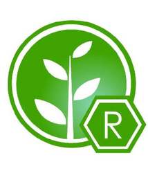 R logo