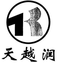 R logo