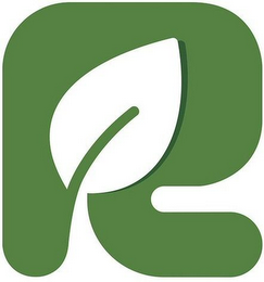 R logo