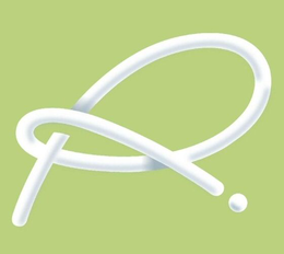 R logo