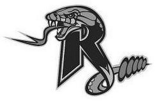 R logo