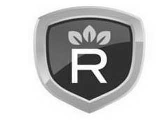 R logo