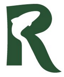 R logo