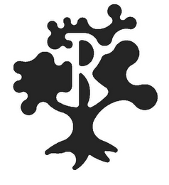 R logo