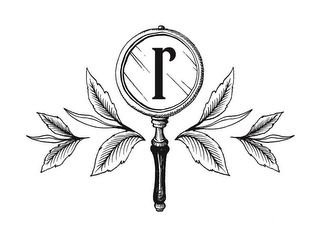 R logo