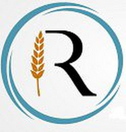 R logo