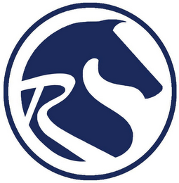 R logo