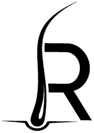 R logo
