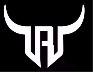 R logo