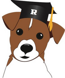 R logo