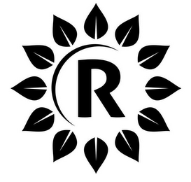 R logo