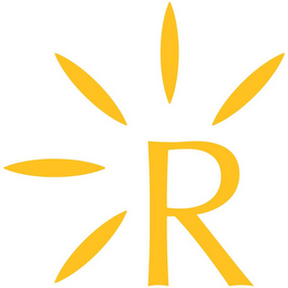 R logo