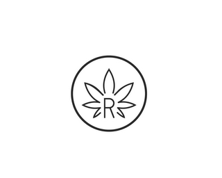 R logo