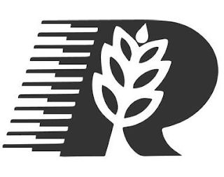 R logo