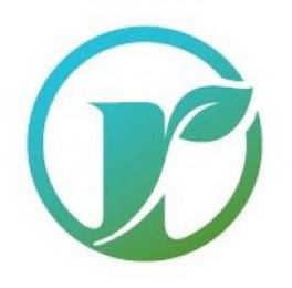 R logo