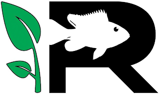 R logo