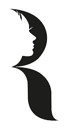 R logo