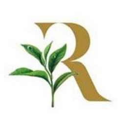 R logo