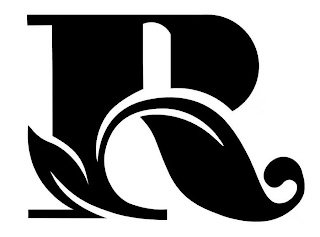R logo