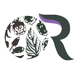 R logo