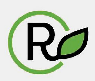 R logo