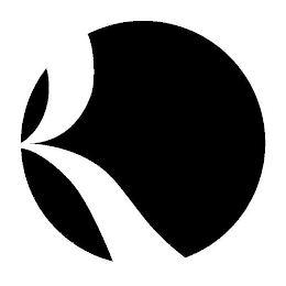 R logo