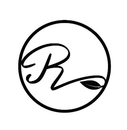 R logo