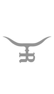 R logo
