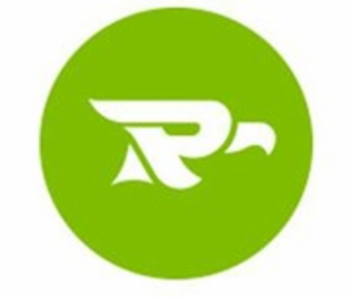 R logo